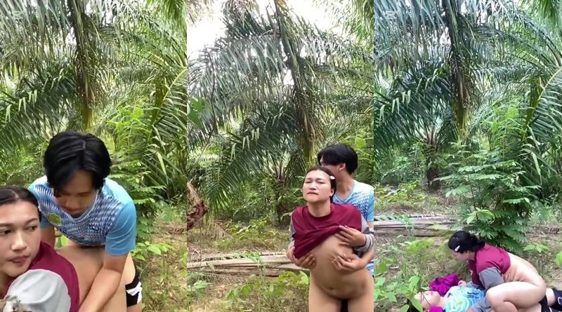 เอาท์ดอร์กลางสวนปาล์ม